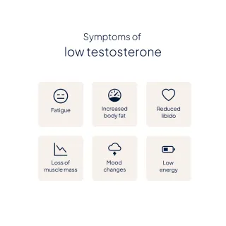 Medichecks Testosterone Blood Test, image 2