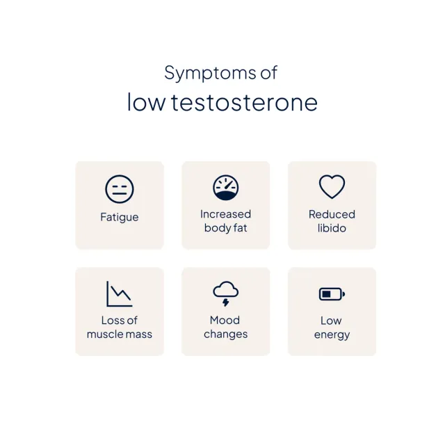 Medichecks Testosterone Blood Test, image 2